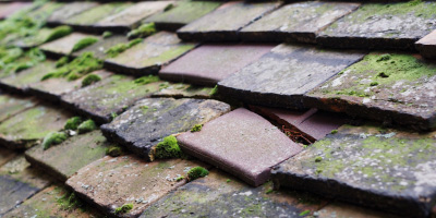 Radley roof repair costs